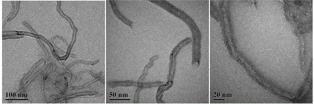 Ionic liquid polymer grafted magnetic carbon nanotube and preparation method thereof