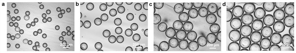 Polymer sponge microsphere and preparation method thereof