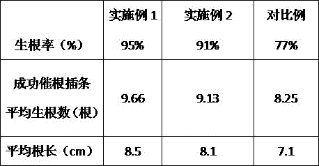 Grape cutting root promoting method