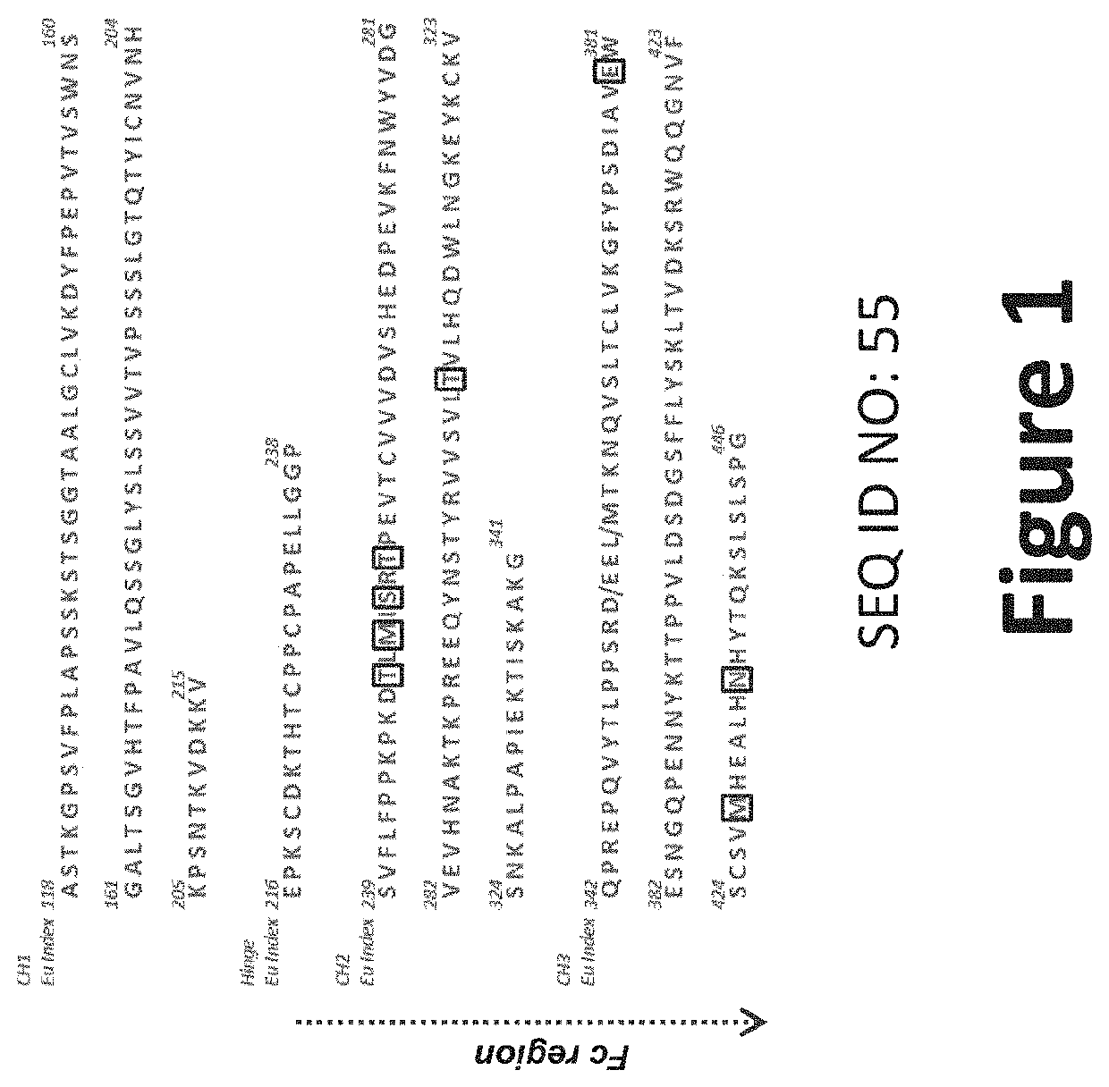 Anti-CHIKV monoclonal antibodies directed against the E2 structural protein