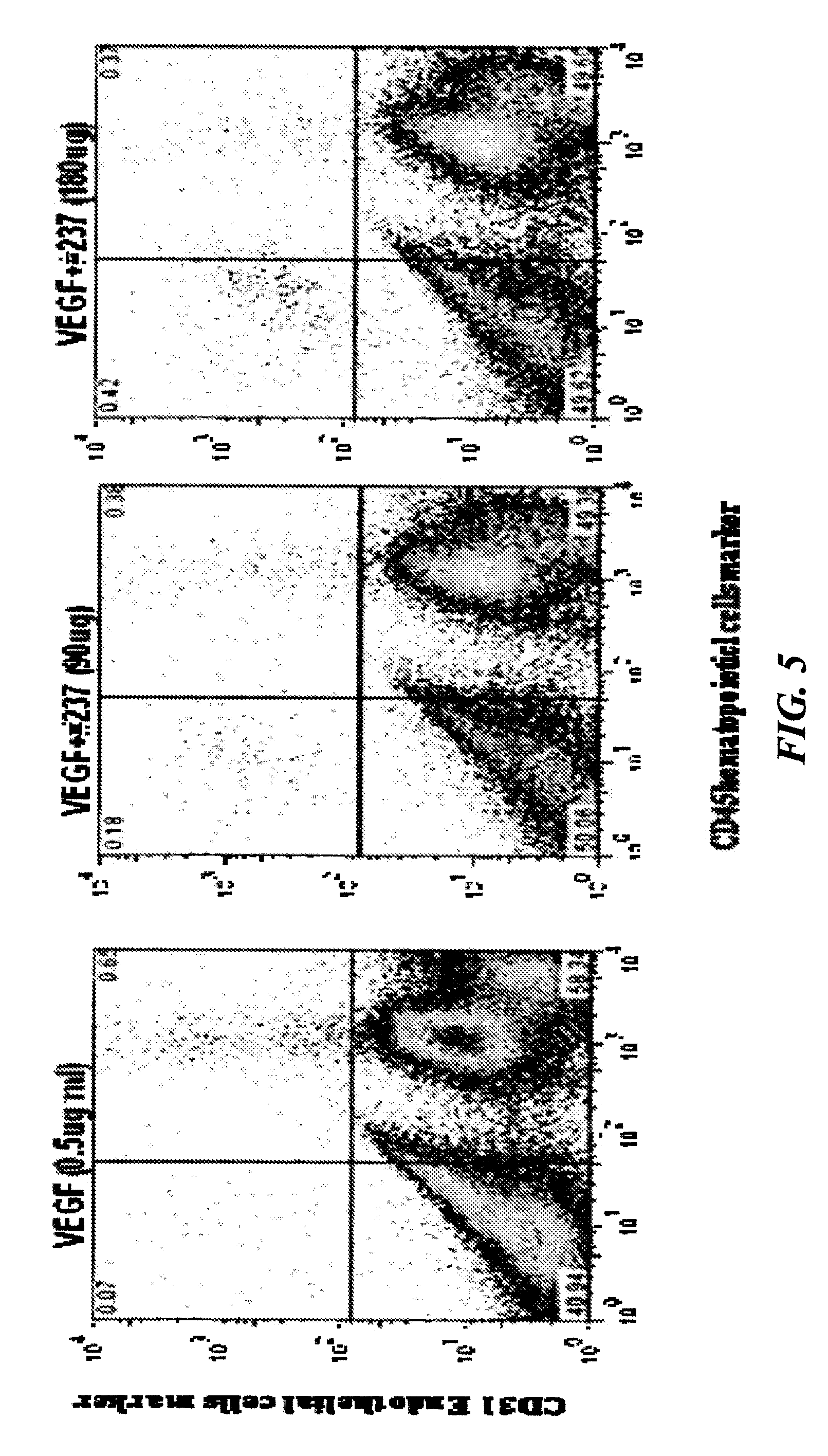 Pro-angiogenic fragments of prominin-1 and uses thereof