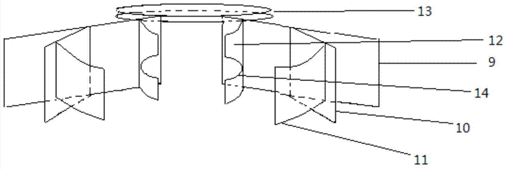 Fixing device for mouse caudal intravenous injection