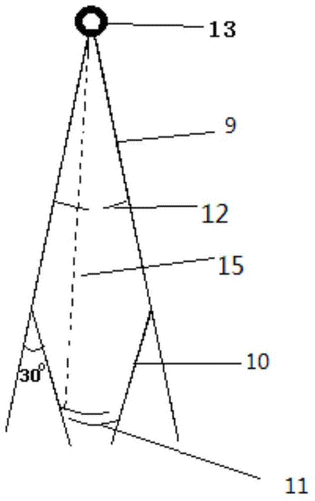 Fixing device for mouse caudal intravenous injection