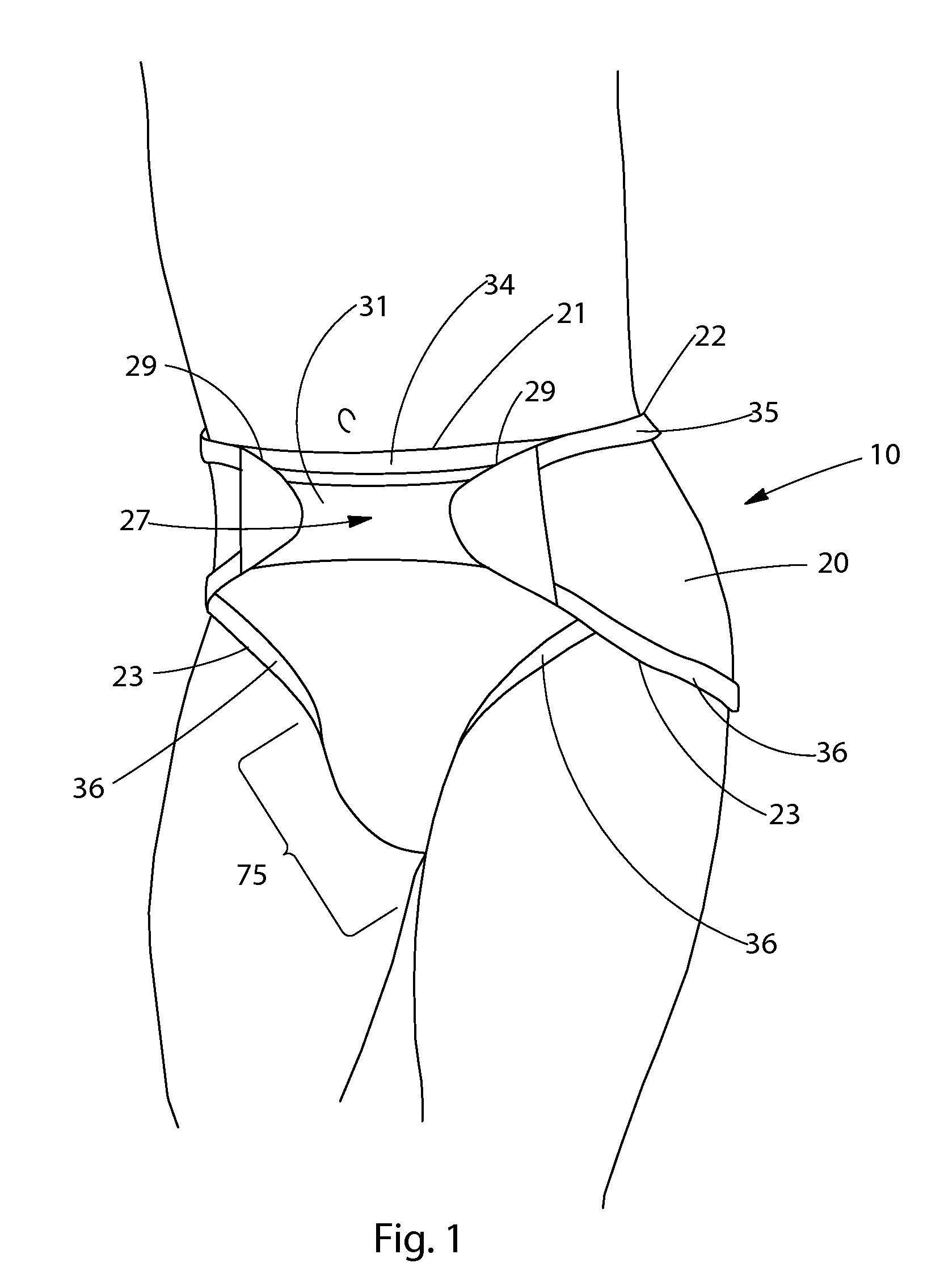 Disposable Absorbent Insert for Two-Piece Wearable Absorbent Article