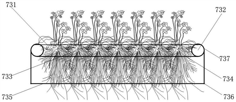 Pond biological floating island and application method thereof