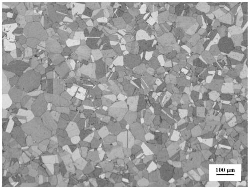 Forging method of alloy cast ingots