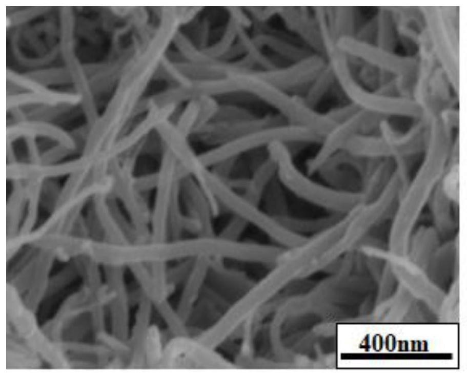 A kind of cnts reinforced magnesium-based composite material and preparation method thereof