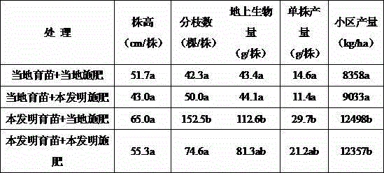 A kind of medicinal chrysanthemum high-quality seedling raising and fertilization method