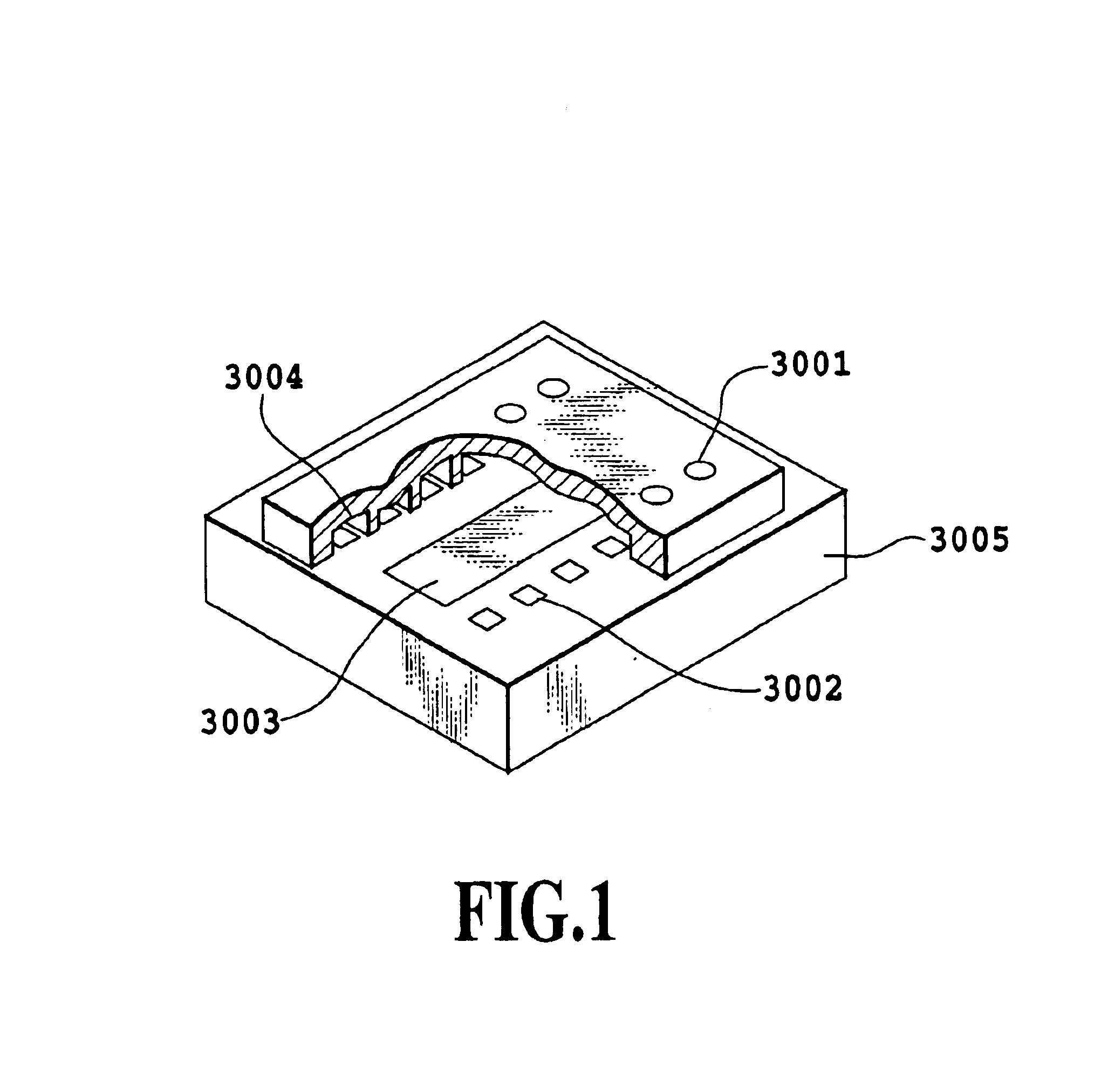 Method of driving and controlling ink jet print head, ink jet print head, and ink jet printer