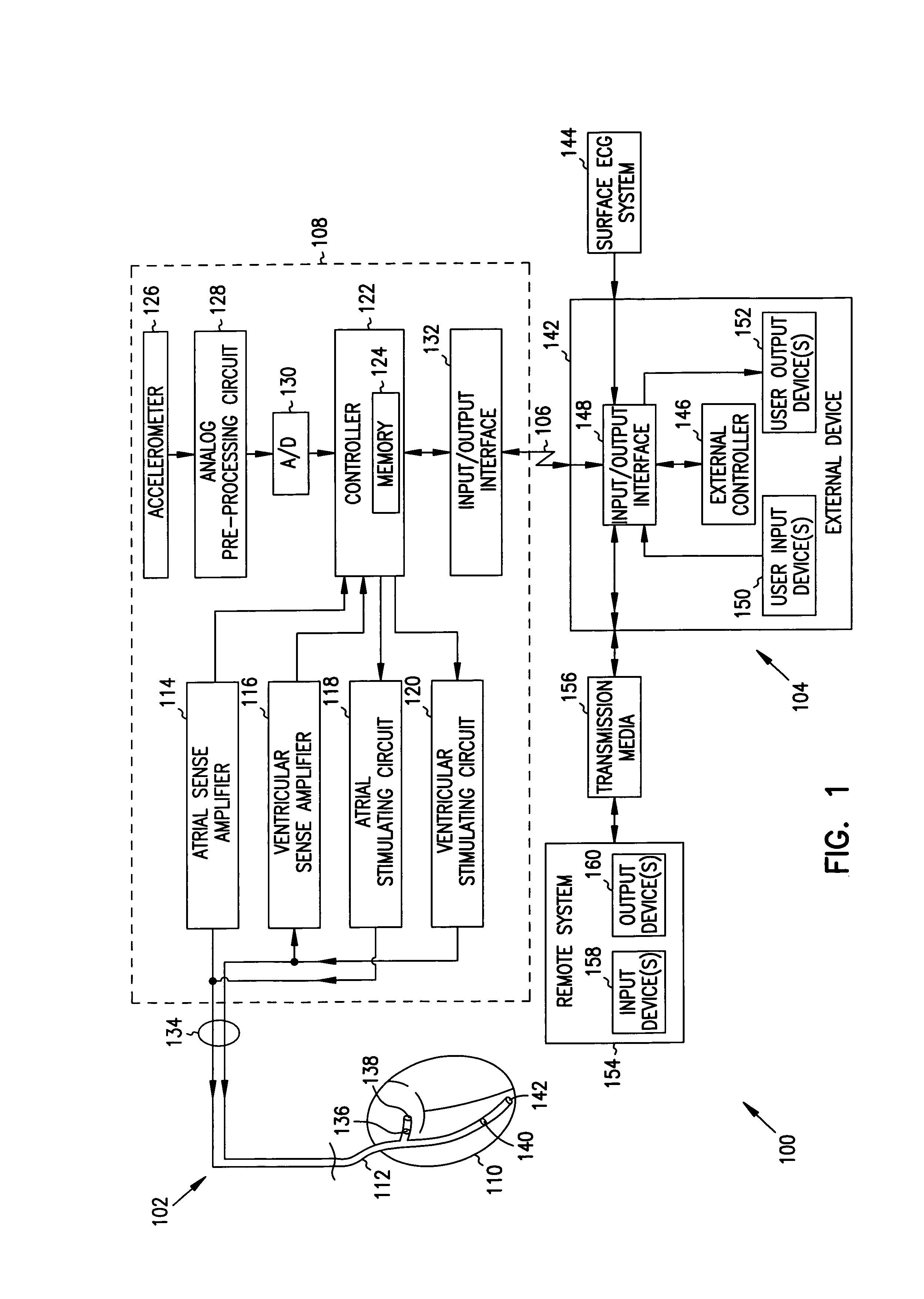 Apparatus and method for outputting heart sounds