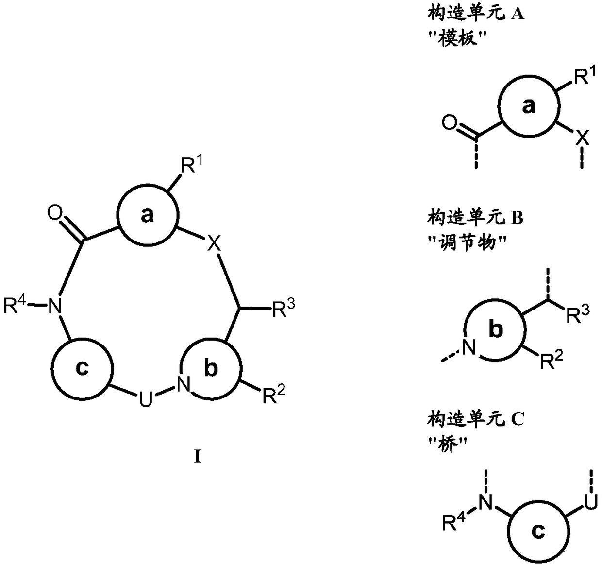 Fully synthetic macrocycles with constrained conformation