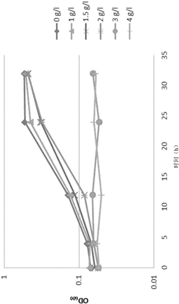 Bacterium with increased tolerance to butyric acids