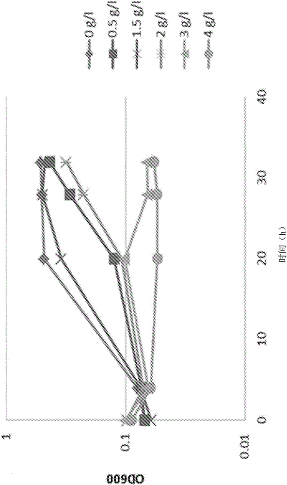 Bacterium with increased tolerance to butyric acids