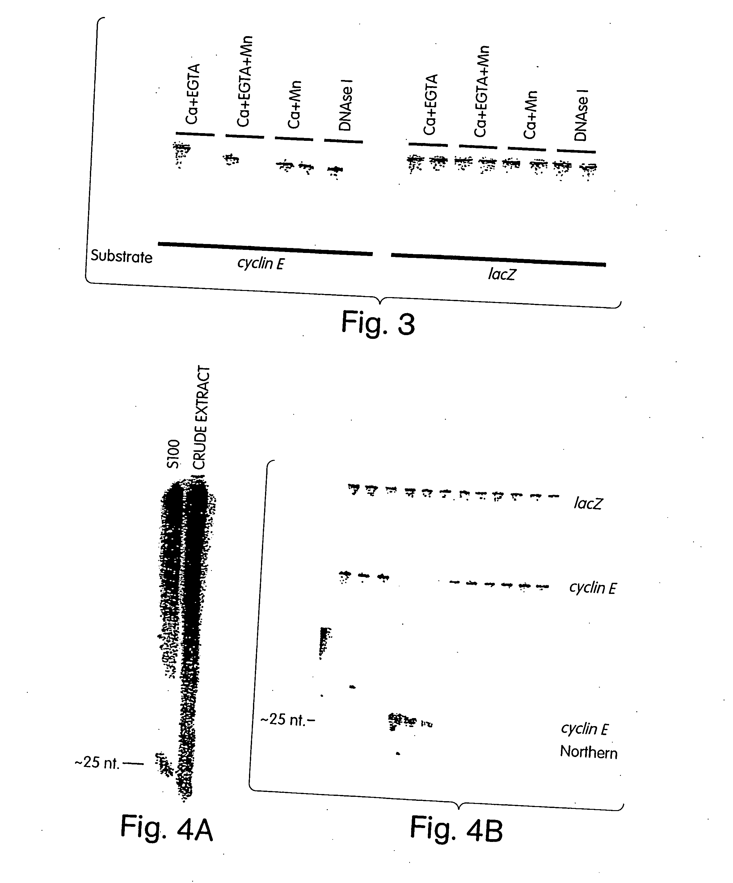 Methods and compositions for RNA interference