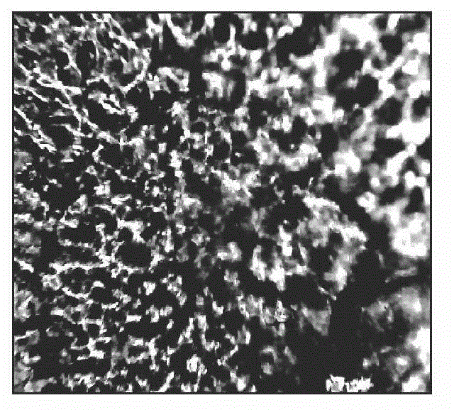 Preparation method for porous biomimetic catalytic material and application thereof