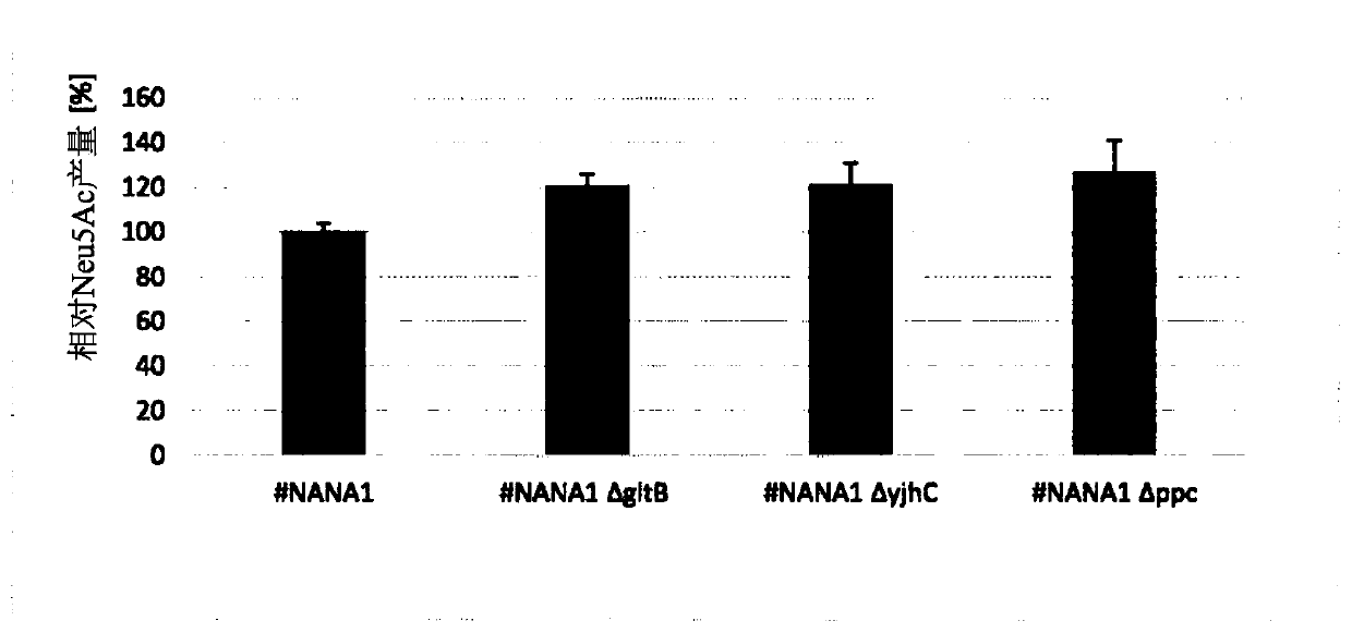 Fermentative production of n-acetylneuraminic acid