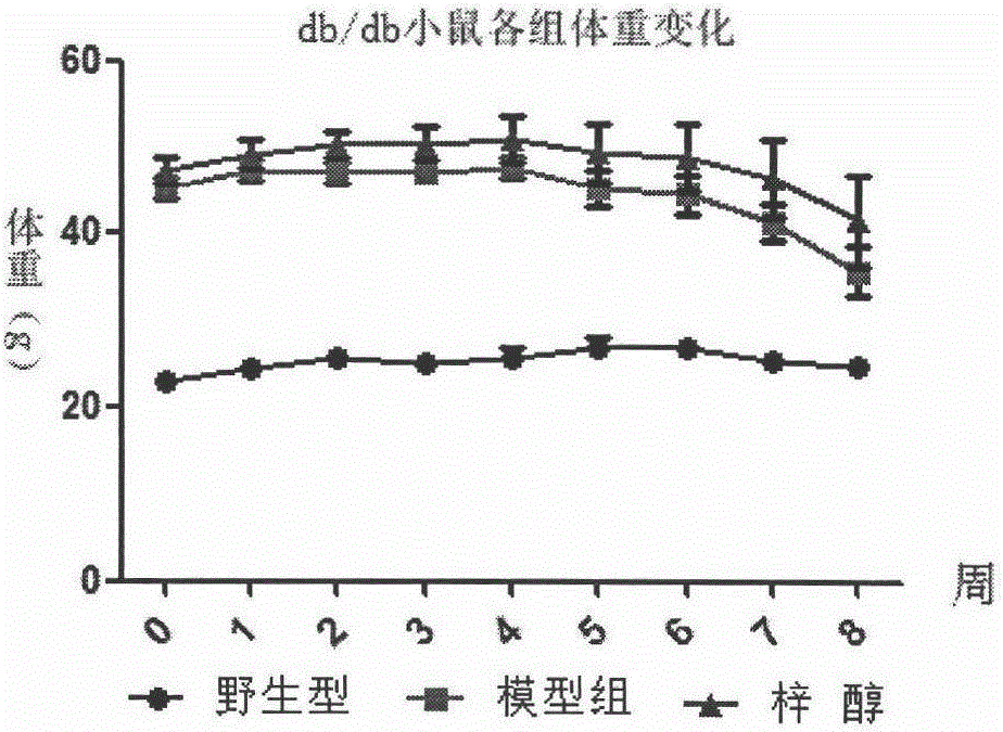 Application of catalpol in preparation of medicine for preventing and curing or delaying myasthenia and/or amyotrophia