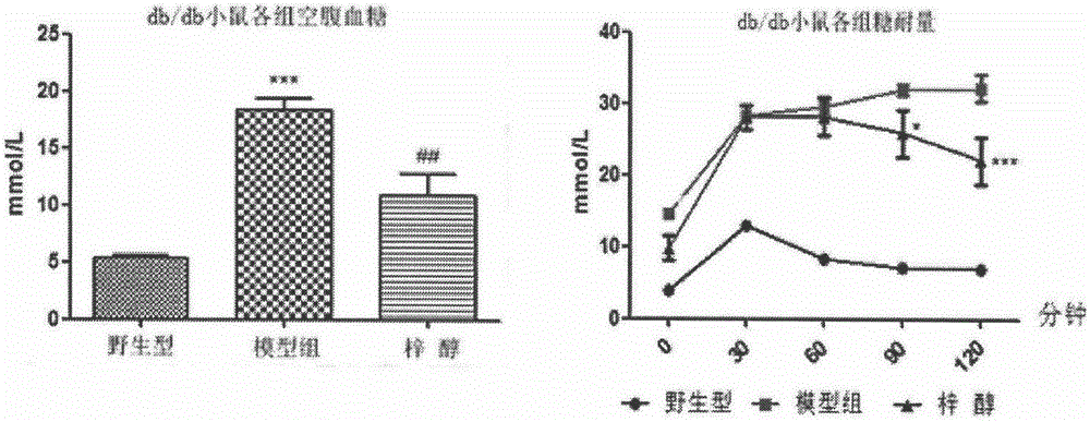 Application of catalpol in preparation of medicine for preventing and curing or delaying myasthenia and/or amyotrophia