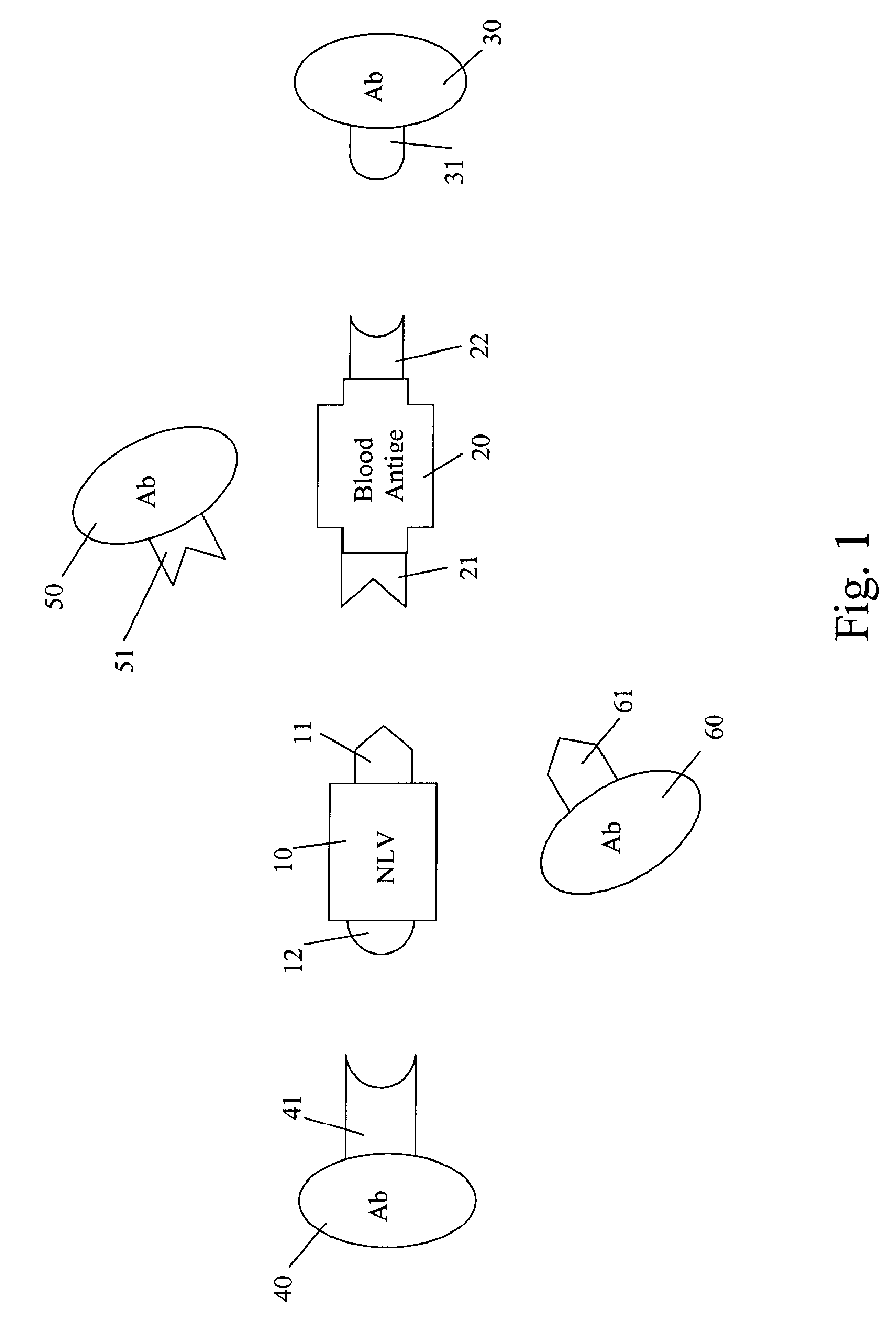 Method, composition and kit for antigenic binding of norwalk-like viruses