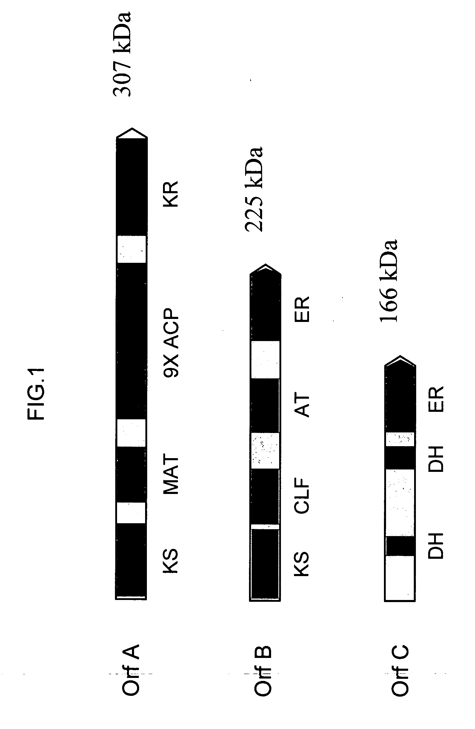 Pufa polyketide synthase systems and uses thereof