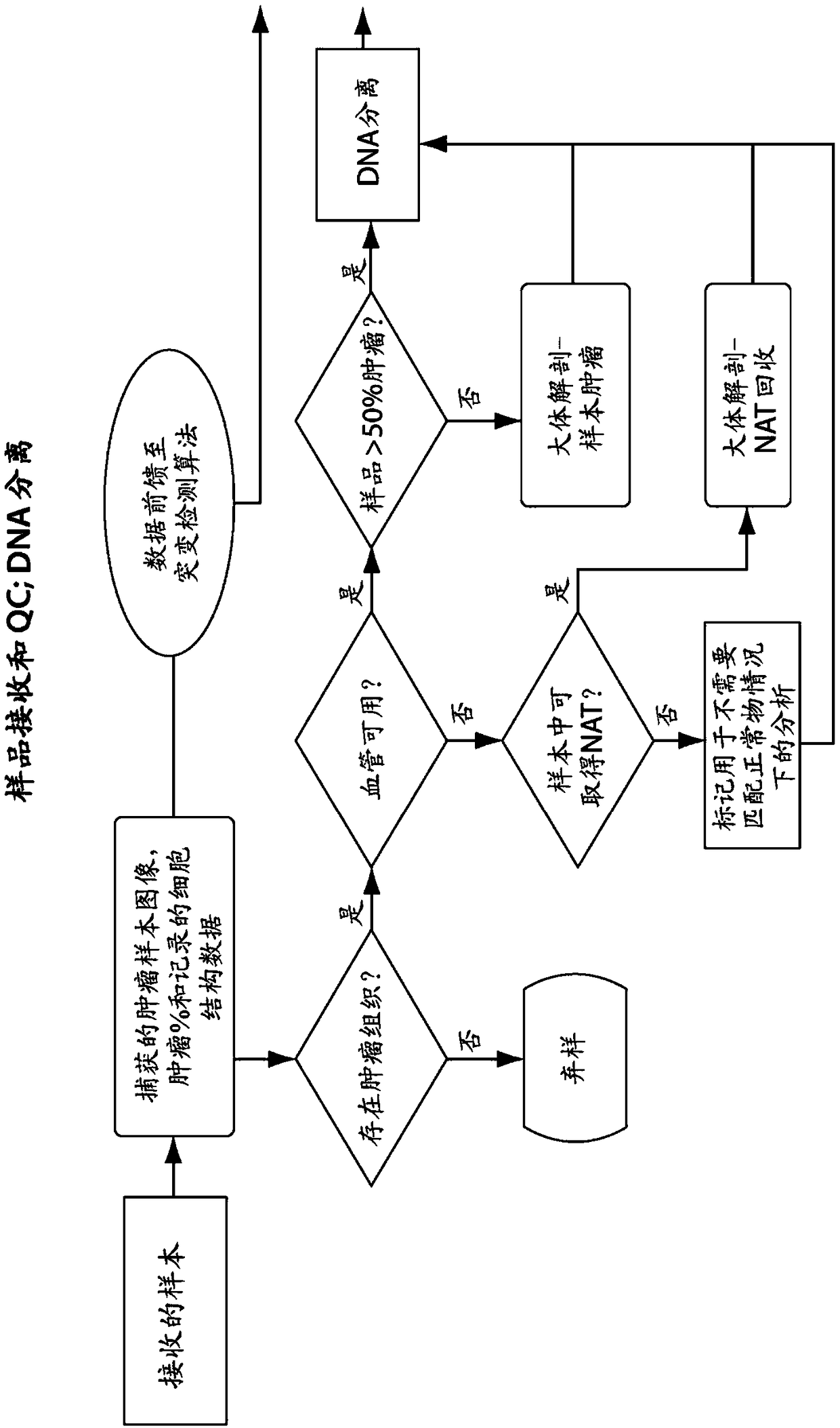 Methods and systems for evaluating tumor mutational burden