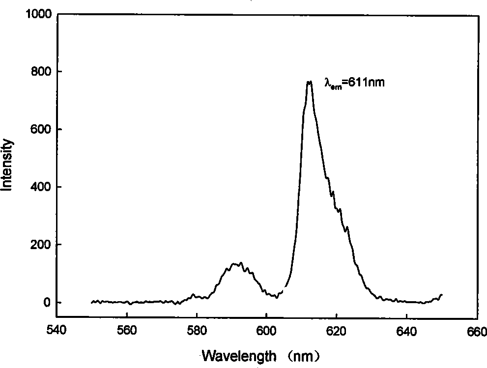 Long life luminous nanometer bio probe for detecting pathogenic microorganism and preparing and detecting method thereof