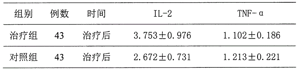 Traditional Chinese medicine composition for elder pneumonia in adjuvant therapy