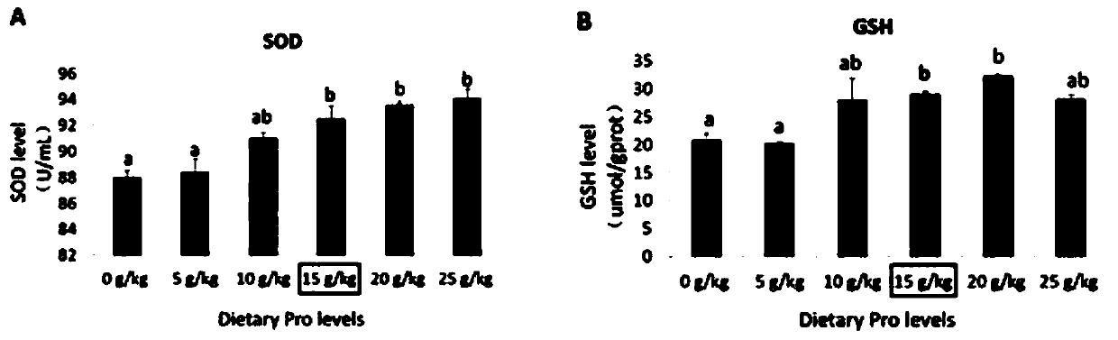 Artificial feed simultaneously improving swim bladder quality and antioxidant ability of nibea coibor