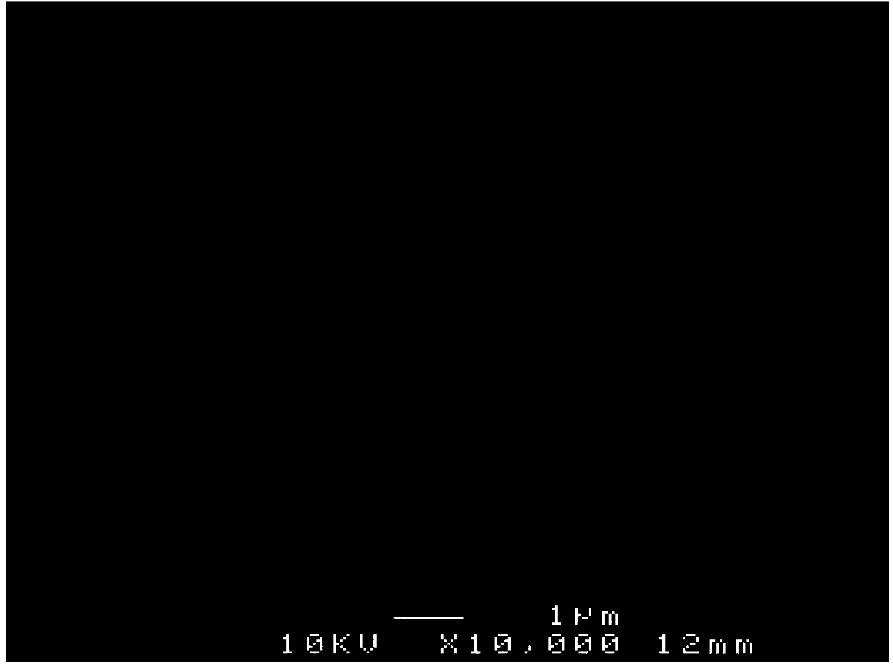 Method for preparing chitin nano filaments