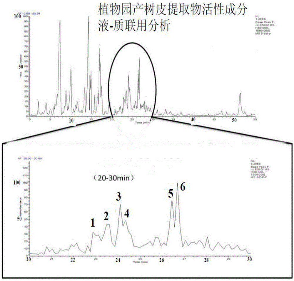 A kind of preparation method and application of Shishu camphor extract