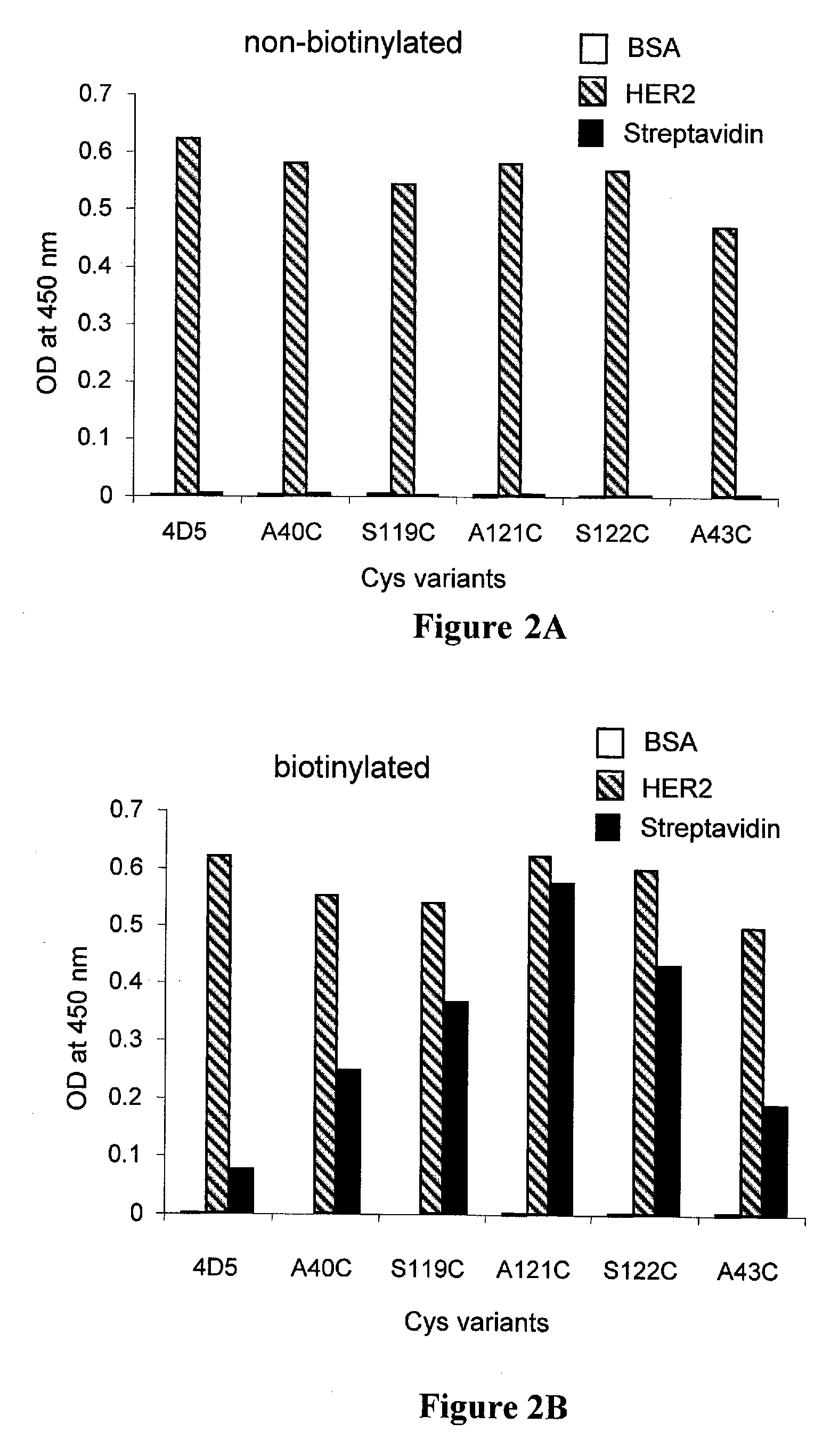 Cysteine engineered antibodies and conjugates