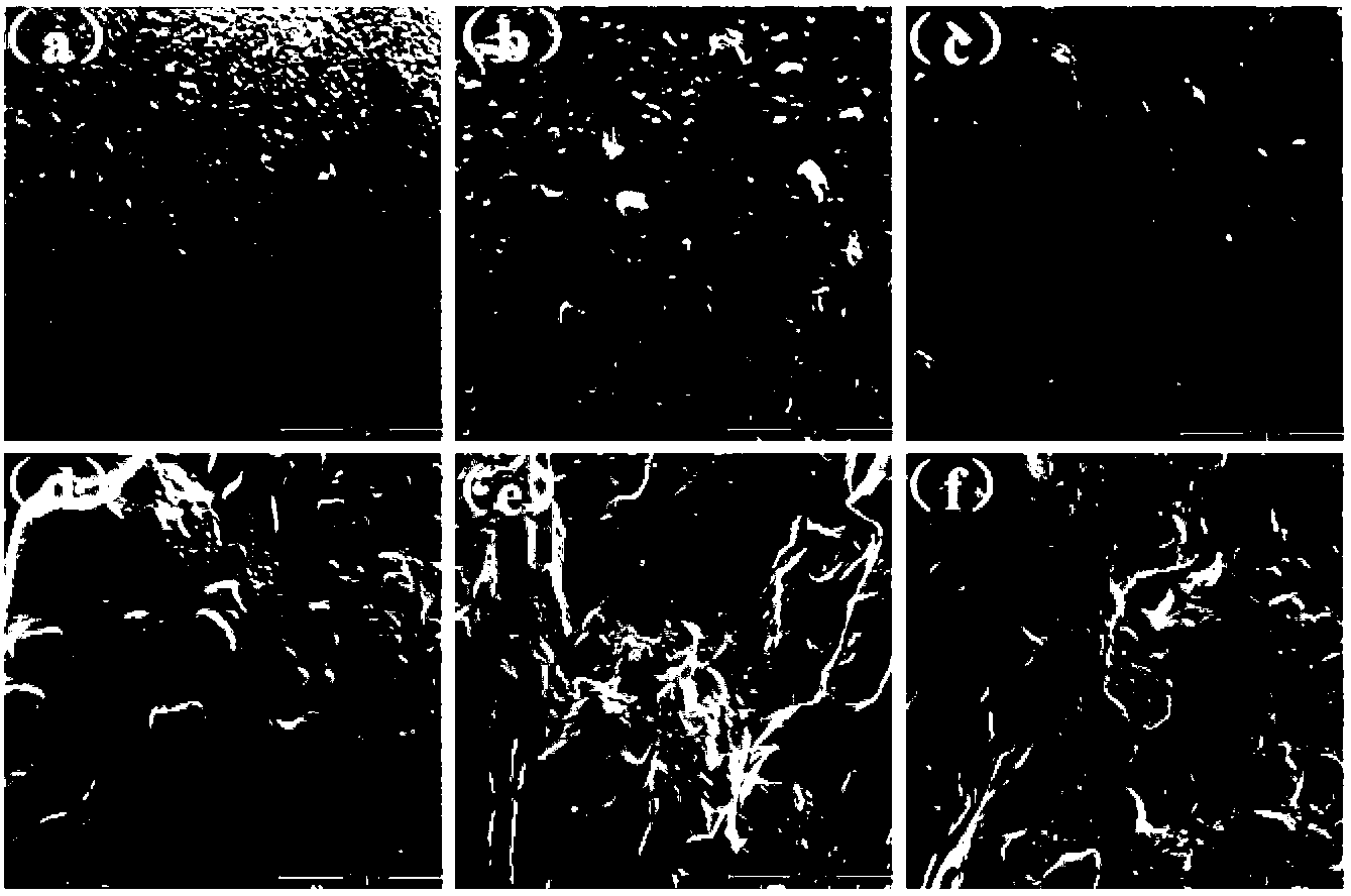 Aliphatic polyester/calcium carbonate composite material and its preparation method