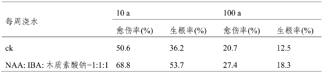 Method for increasing old tree cutting survival rate