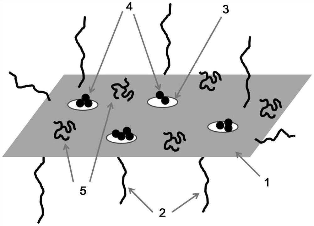 A kind of antibacterial and antistatic sportswear fabric and preparation method thereof