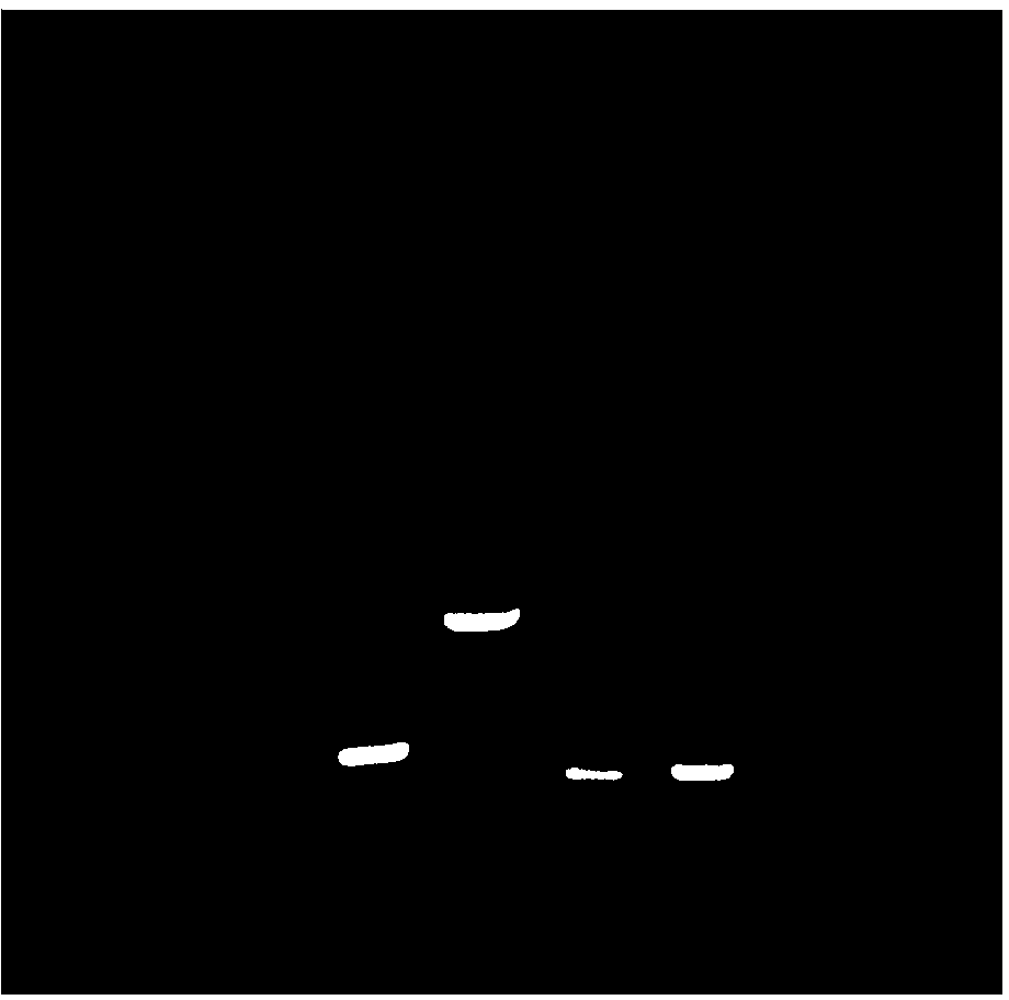 Multiplex PCR (polymerase chain reaction) primer group for simultaneously detecting feline panleucopenia virus, feline calicivirus and feline herpes virus type 1