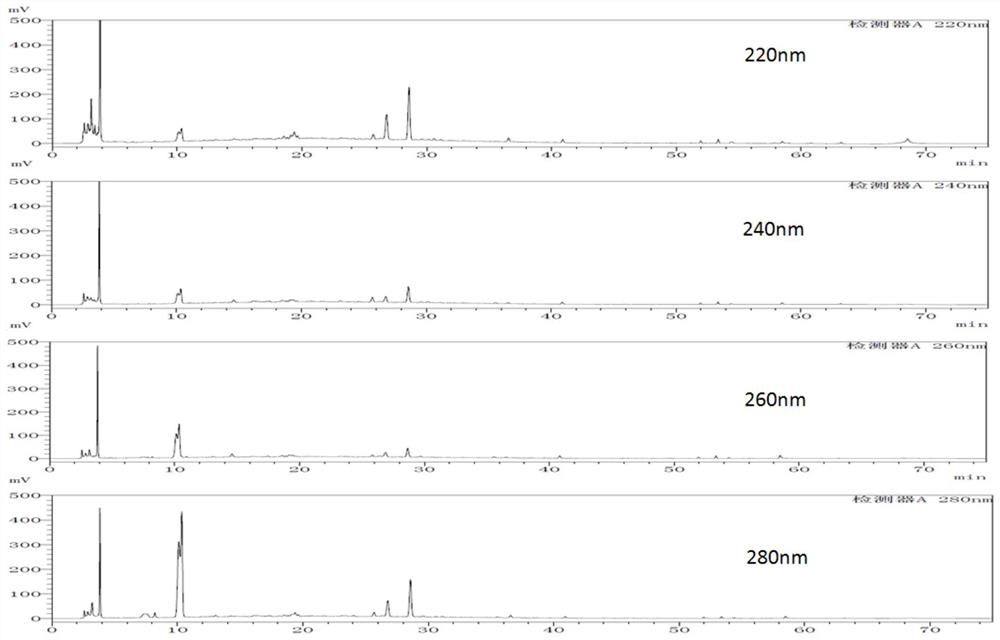 Construction Method and Application of Standard Fingerprint of Xiaoer Fupi Granules