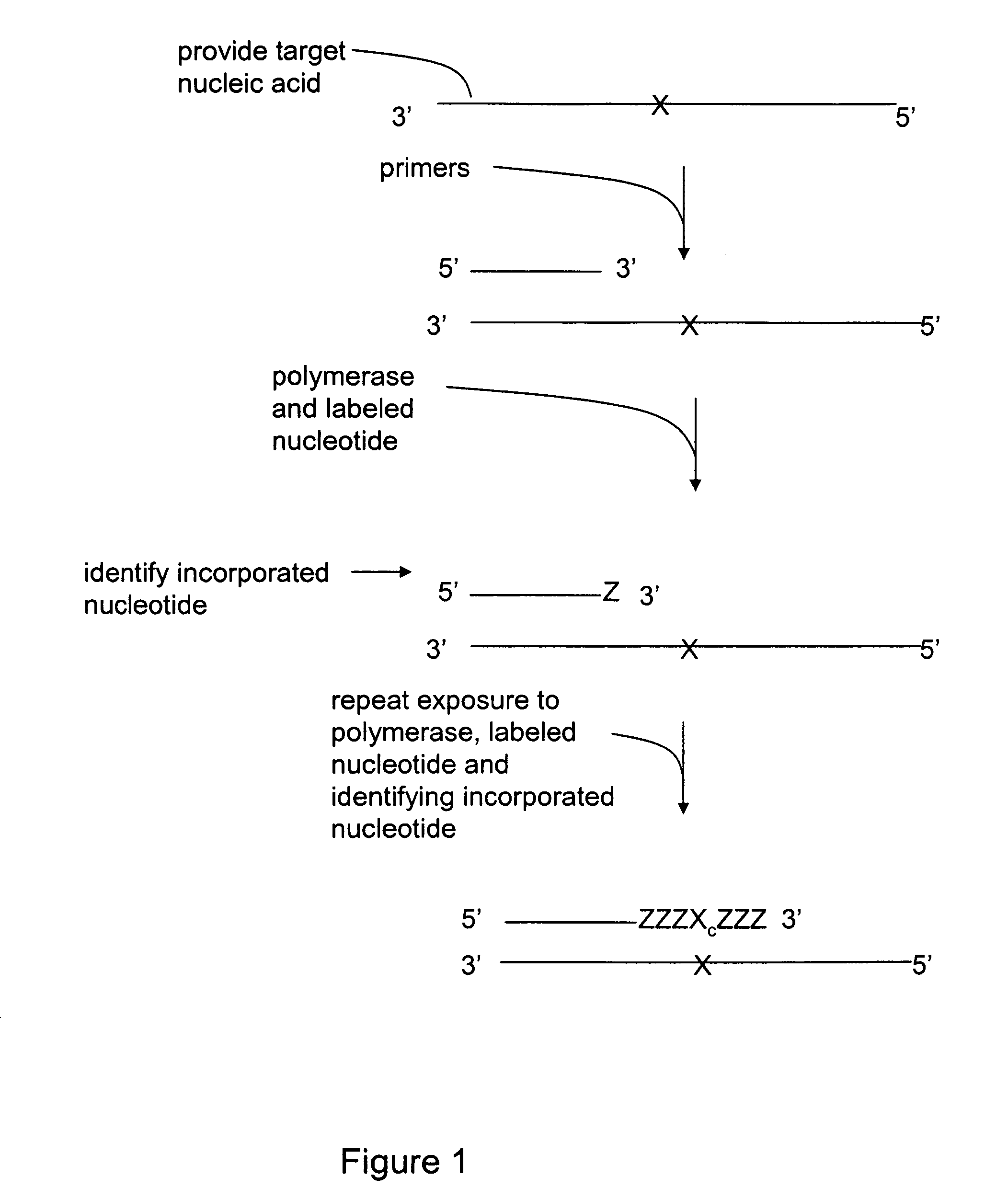 Methods for mutation detection