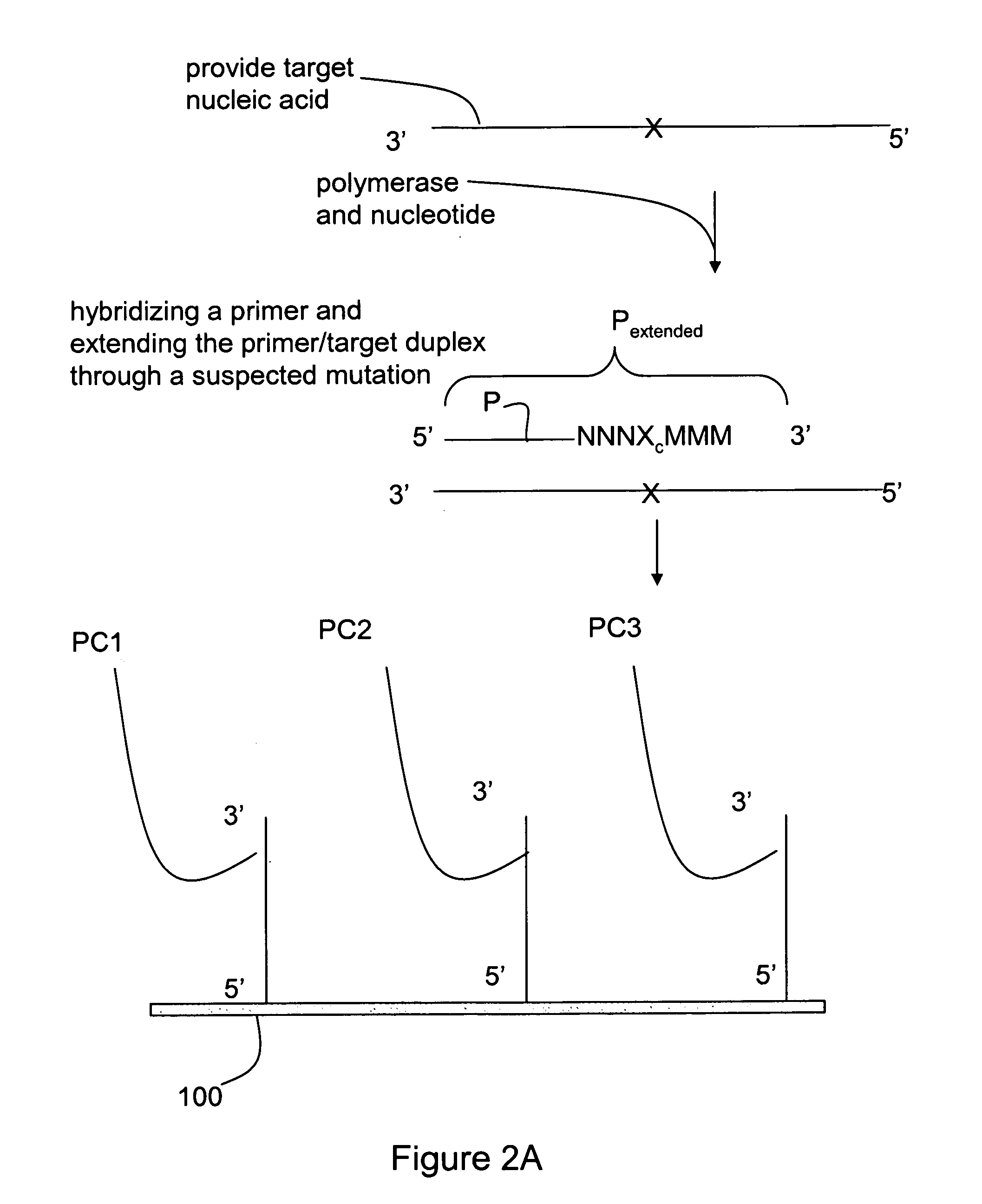 Methods for mutation detection