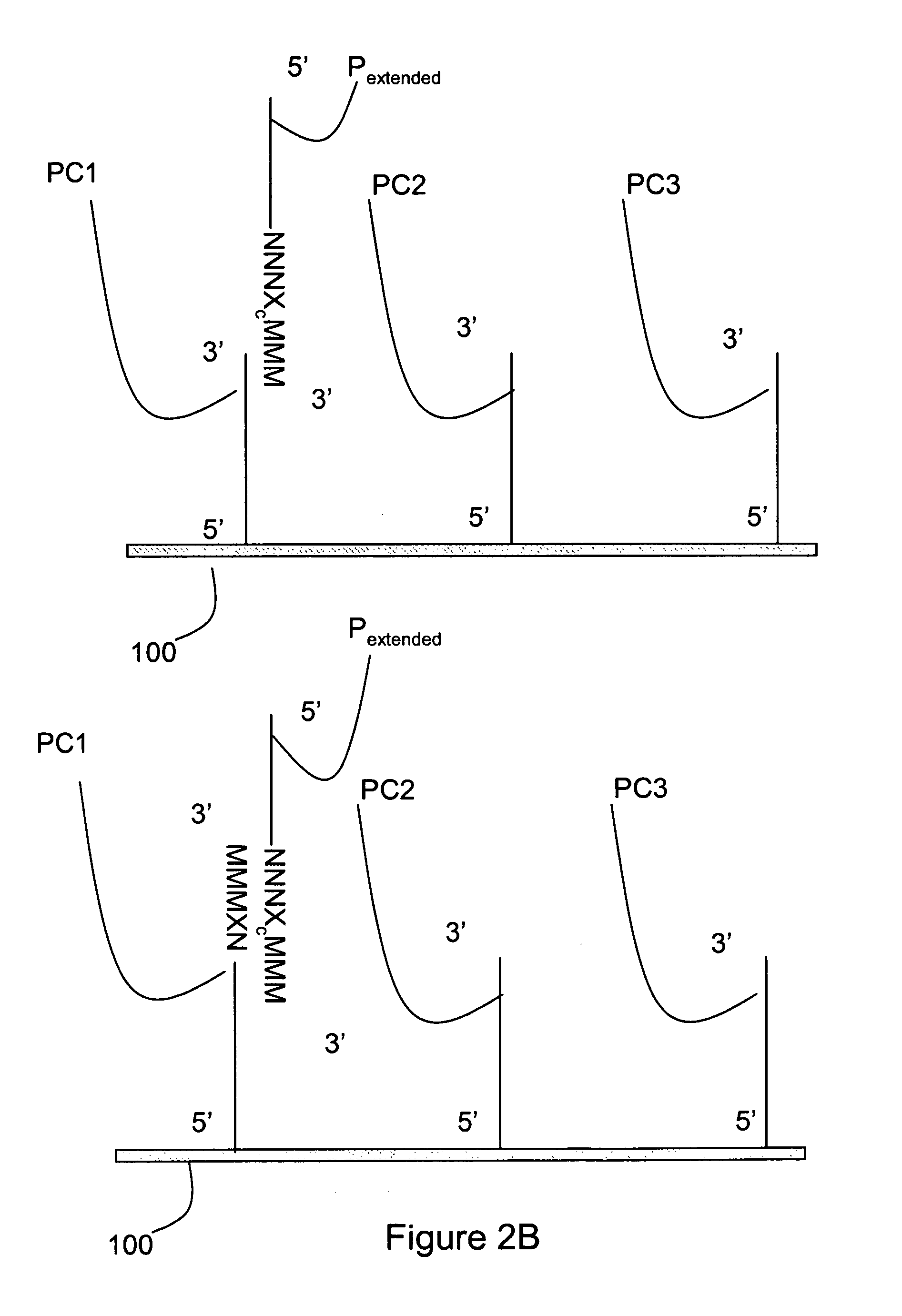 Methods for mutation detection