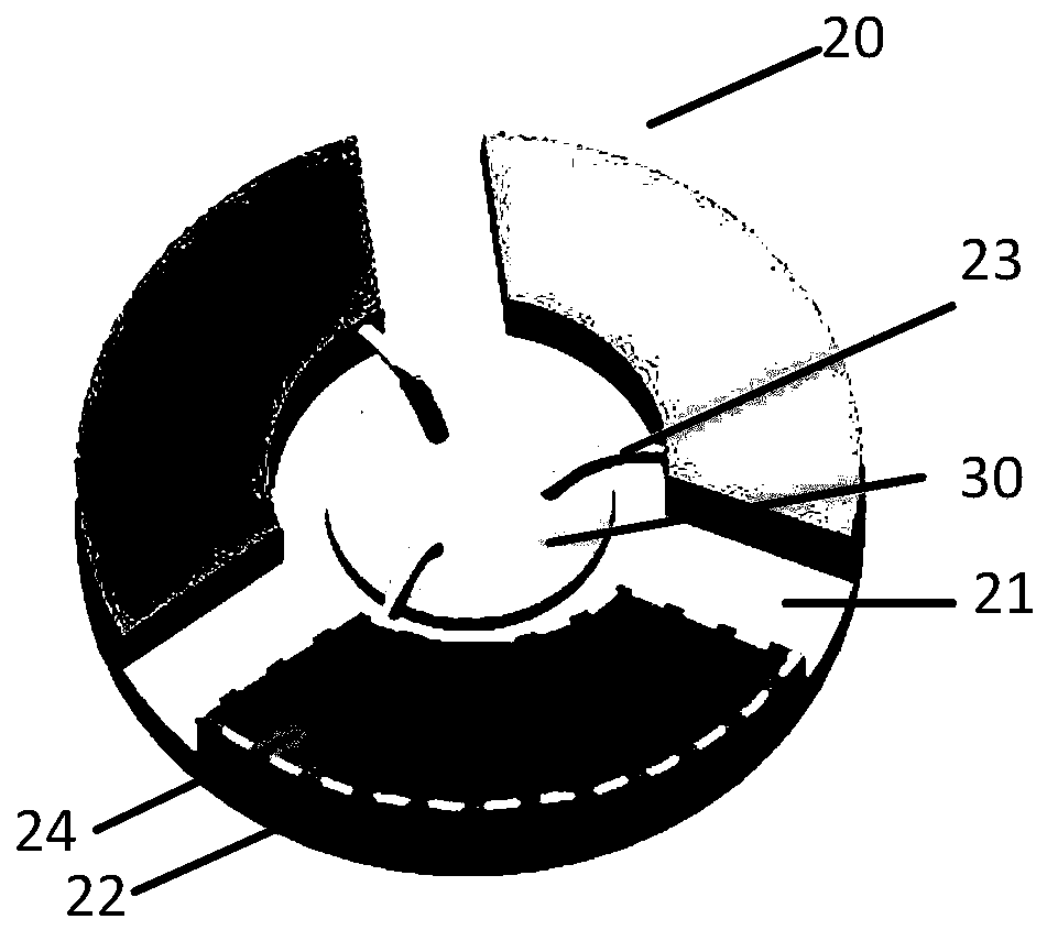 Scanning tunneling microscope and sample holder thereof