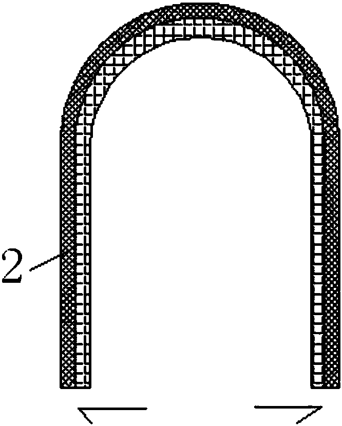 Elliptical round three-layer biological membrane