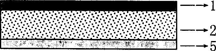 Compound control-released percutaneous medicine plaster for treating high blood pressure and its preparation method