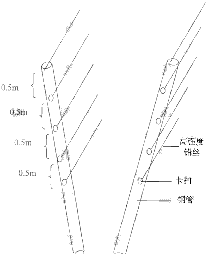 Water-saving peach tree planting method