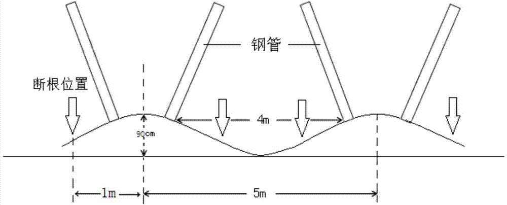 Water-saving peach tree planting method