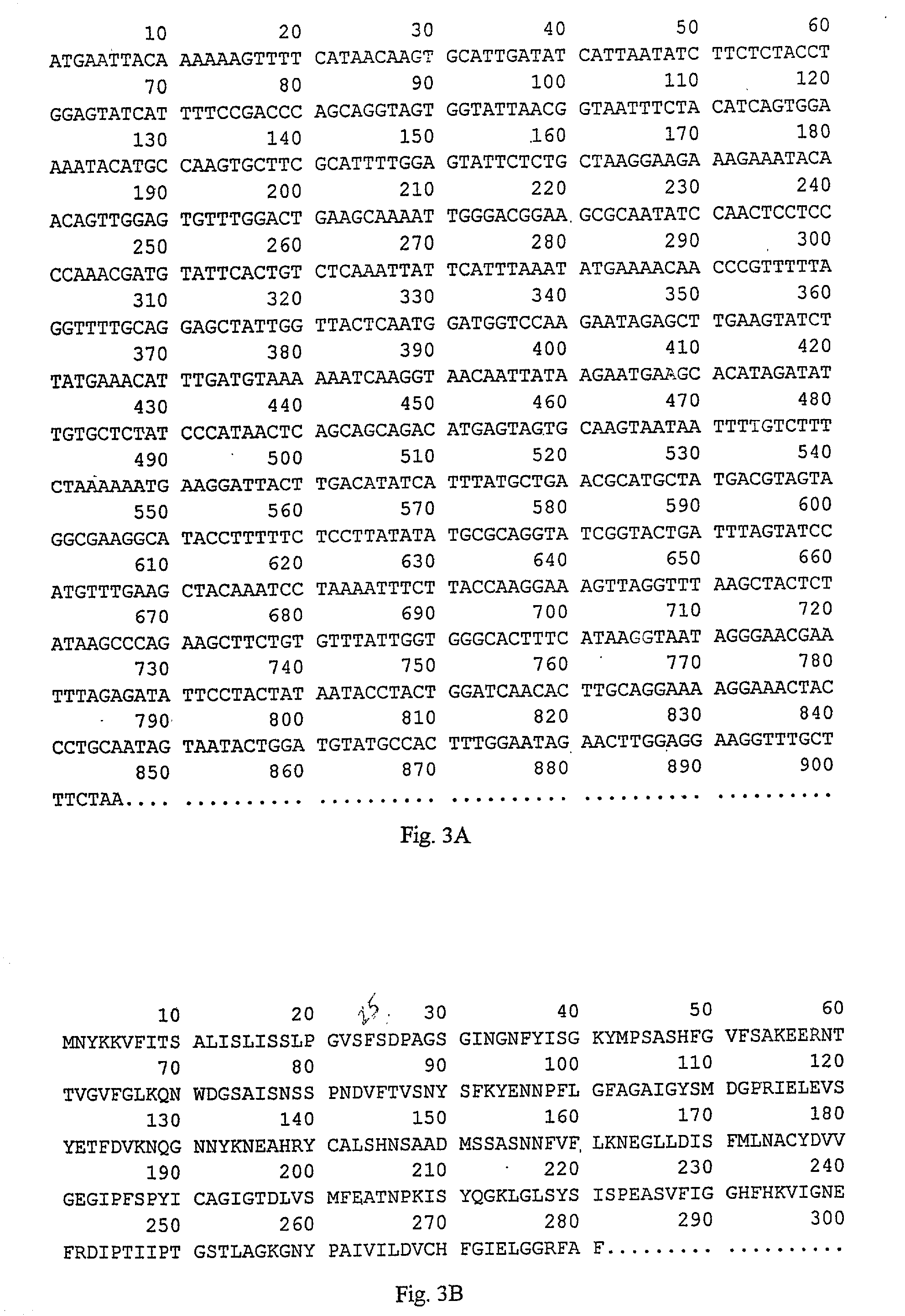 Diagnosis of ehrlichia canis and ehrlichia chaffeensis