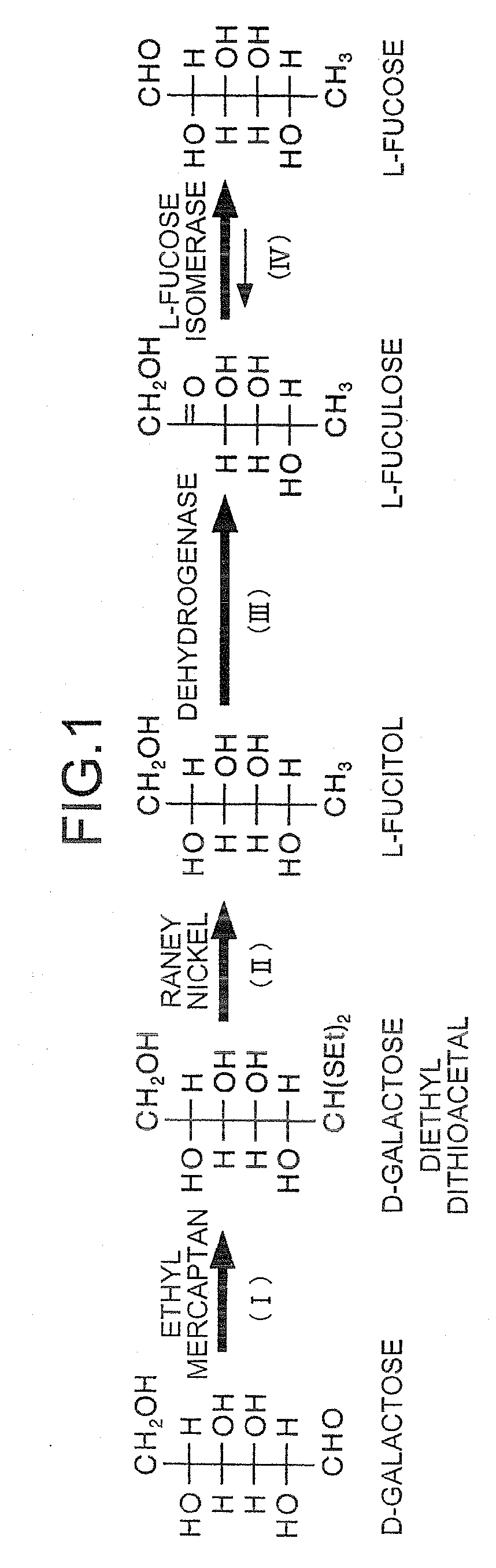 Method for producing l-fuculose and method for producing l-fucose