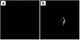 Flexible filamentous spherical porous amorphous nickel phosphate nanoparticles and preparation method thereof