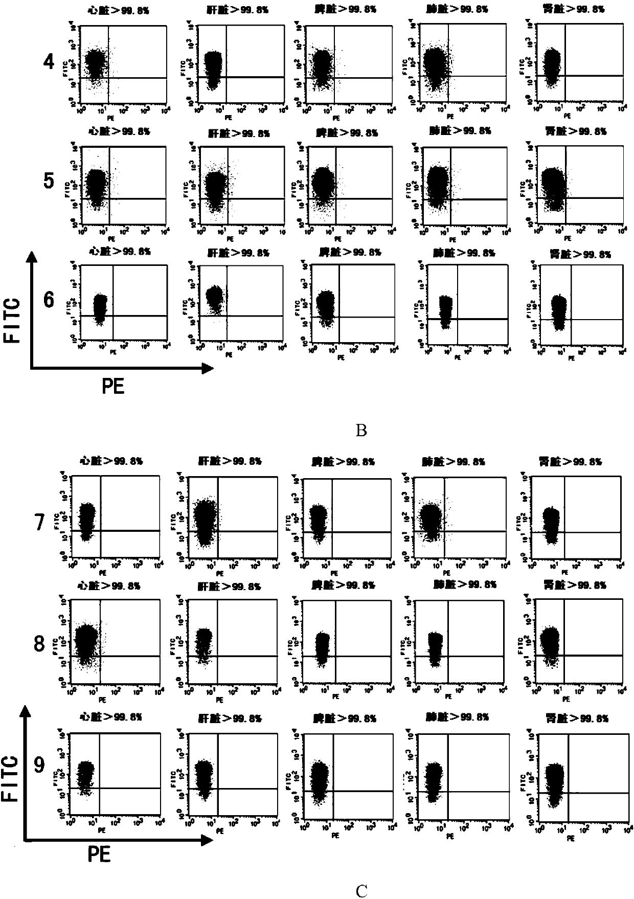 CRISPR/Cas9 system-containing targeted knockout vector and adenovirus and applications thereof