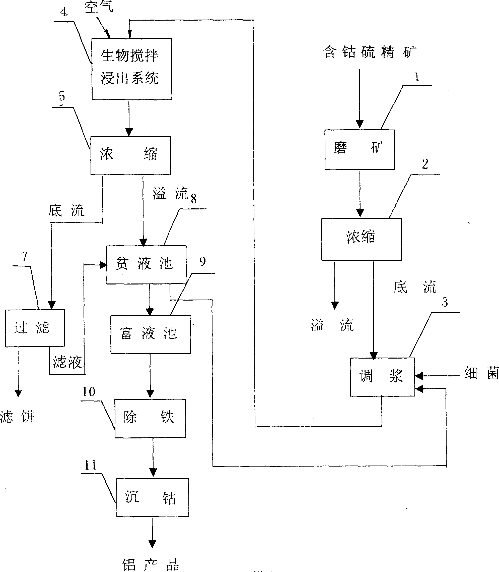 Biological stirring cobalt-dipping technique for concentrate containing cobalt and sulfur