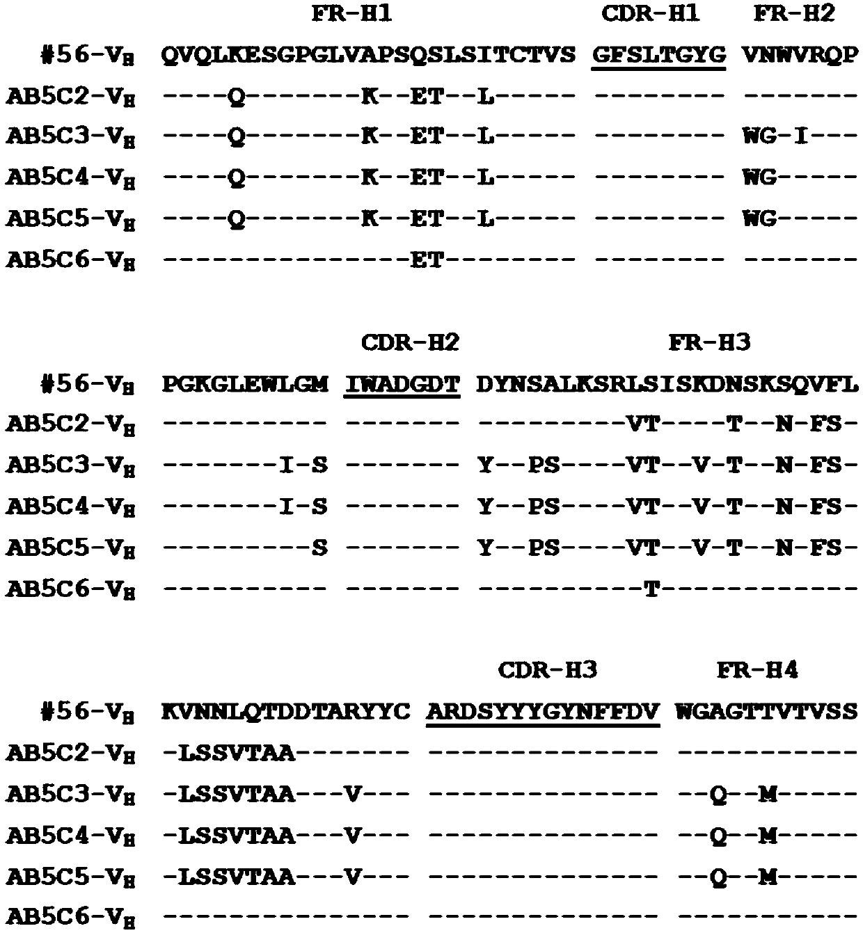 Anti-human NGF antibody, preparation method and use thereof